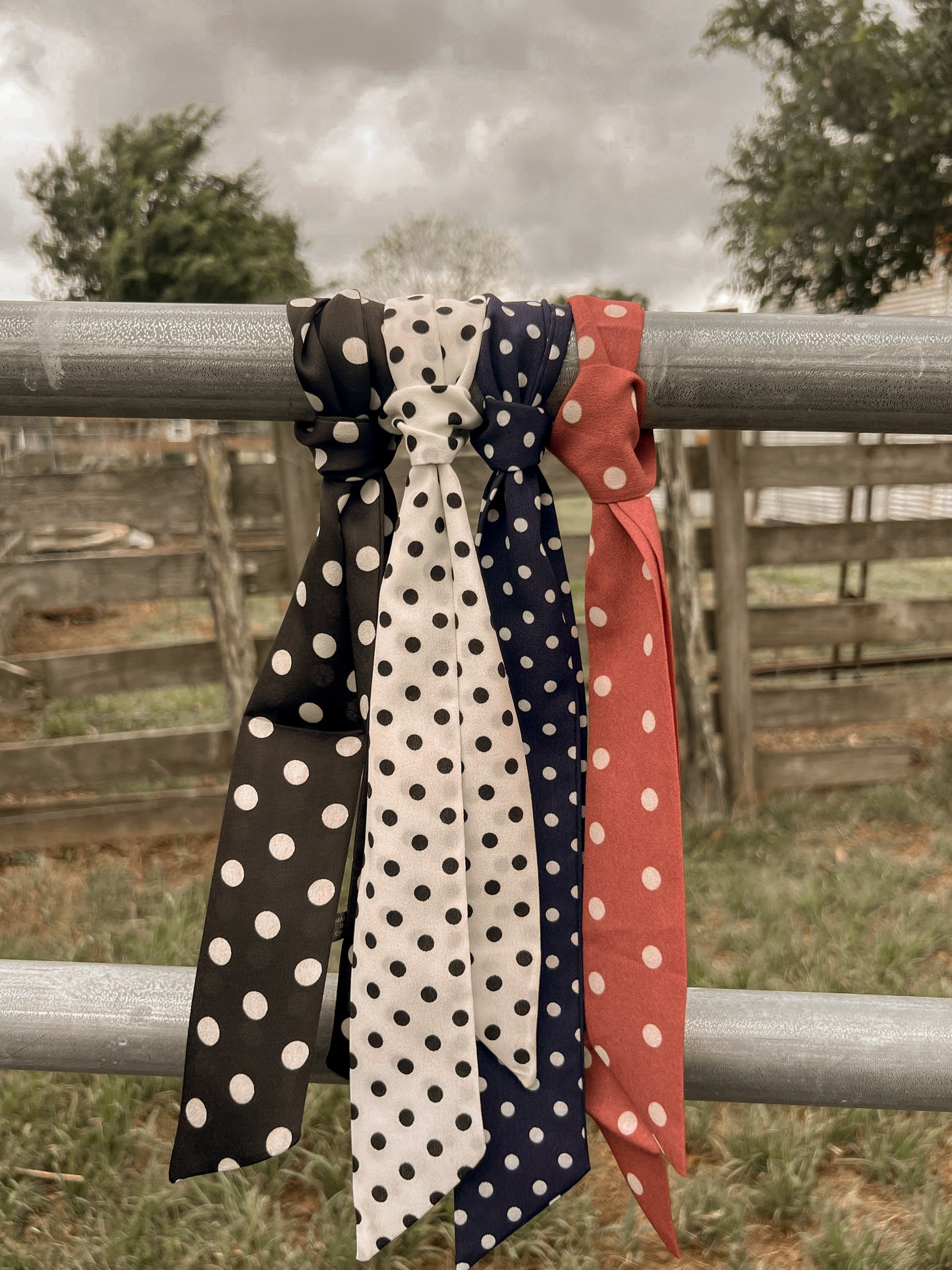 Polka Dot Twillys