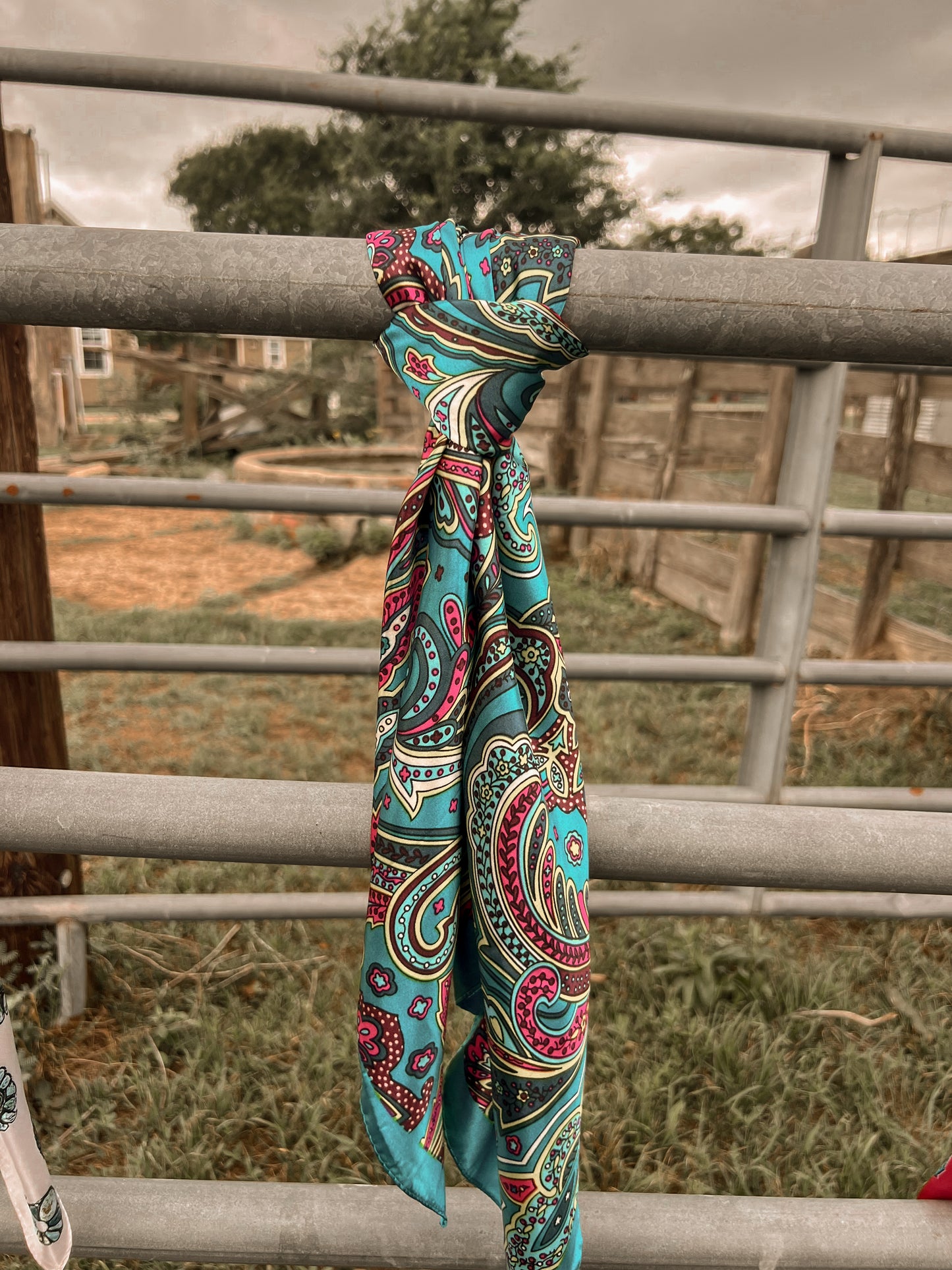 Ranchland Rosé Wildrag