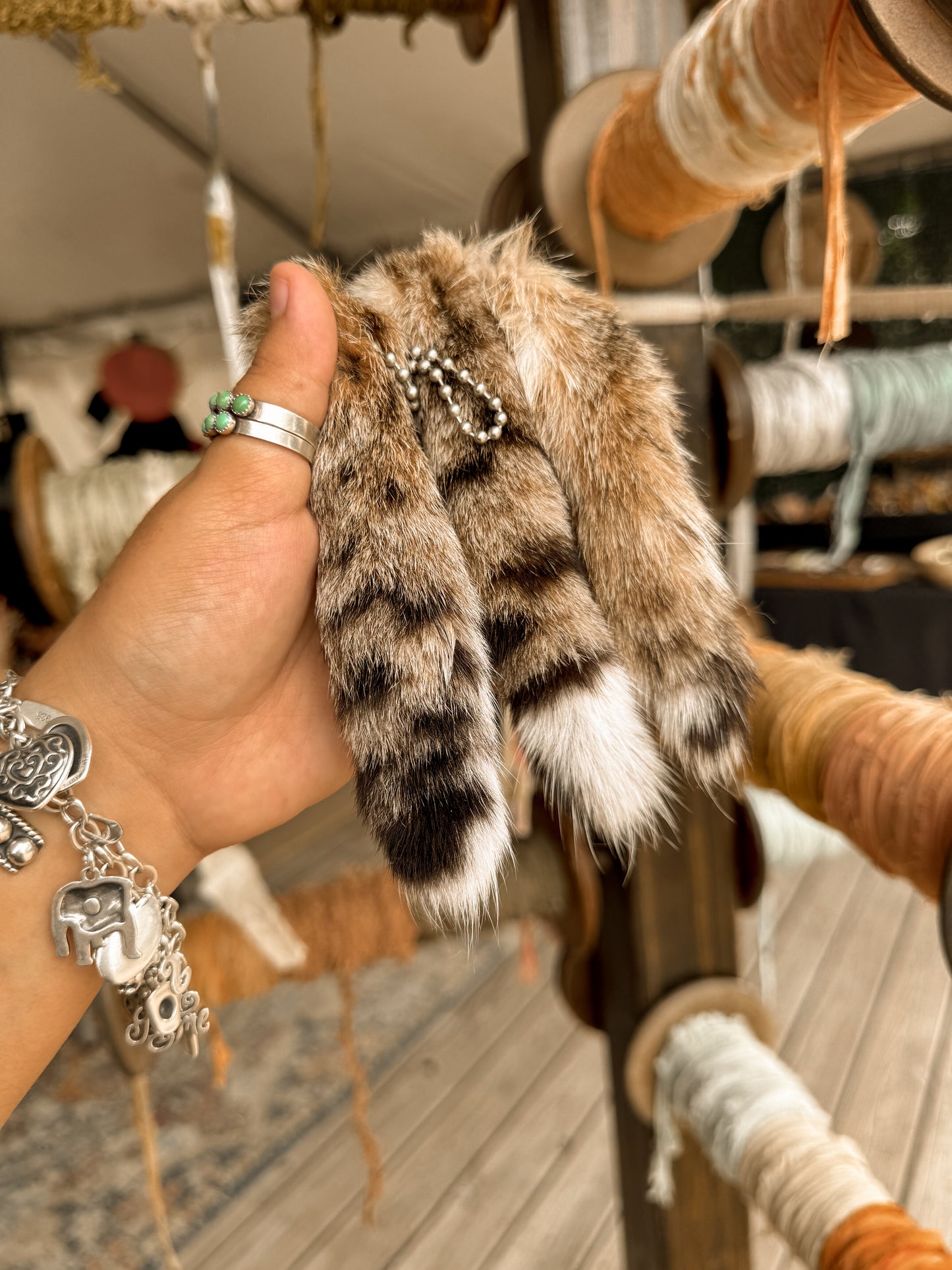 Lynx Tails