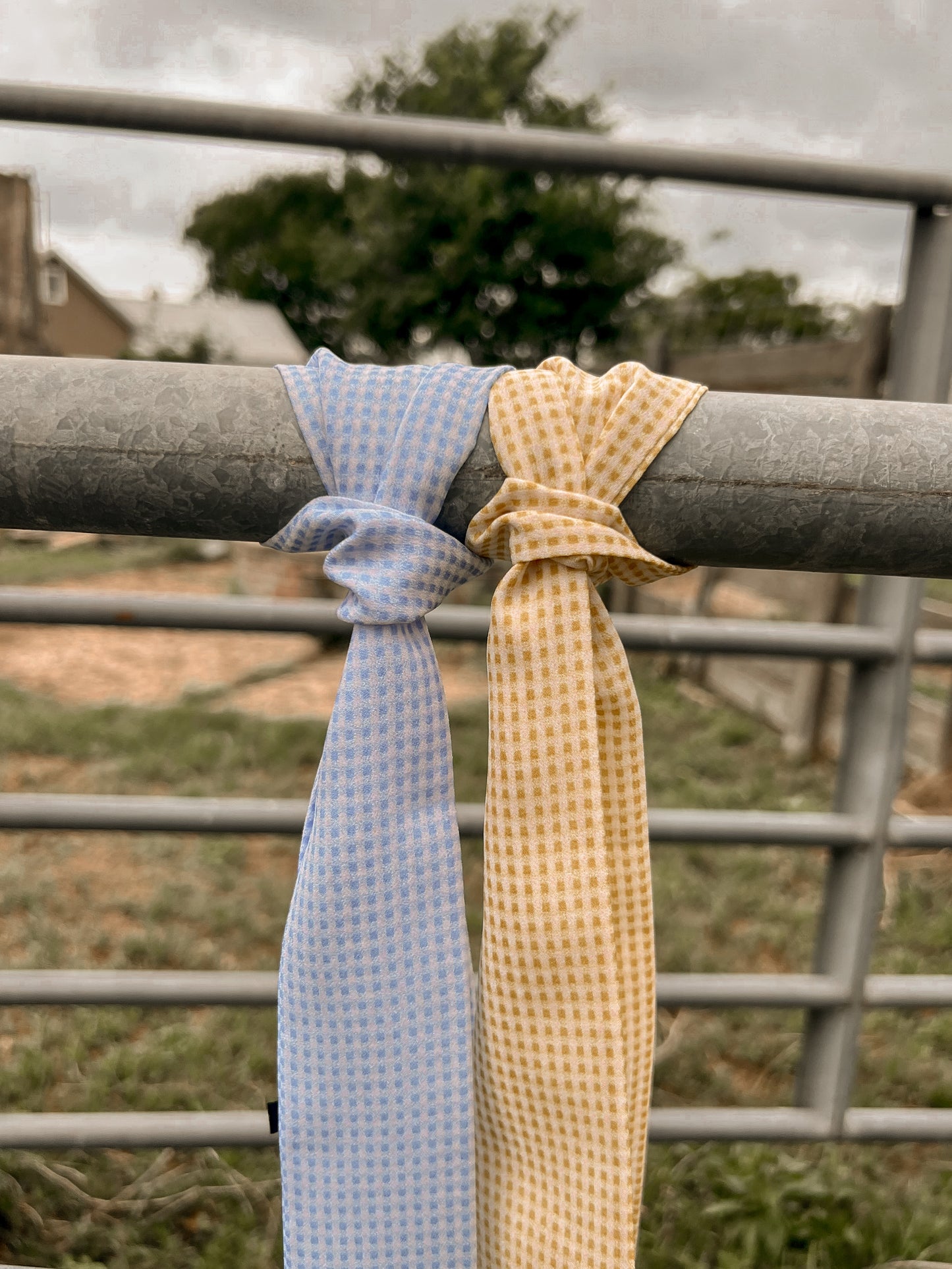Gingham Twillys