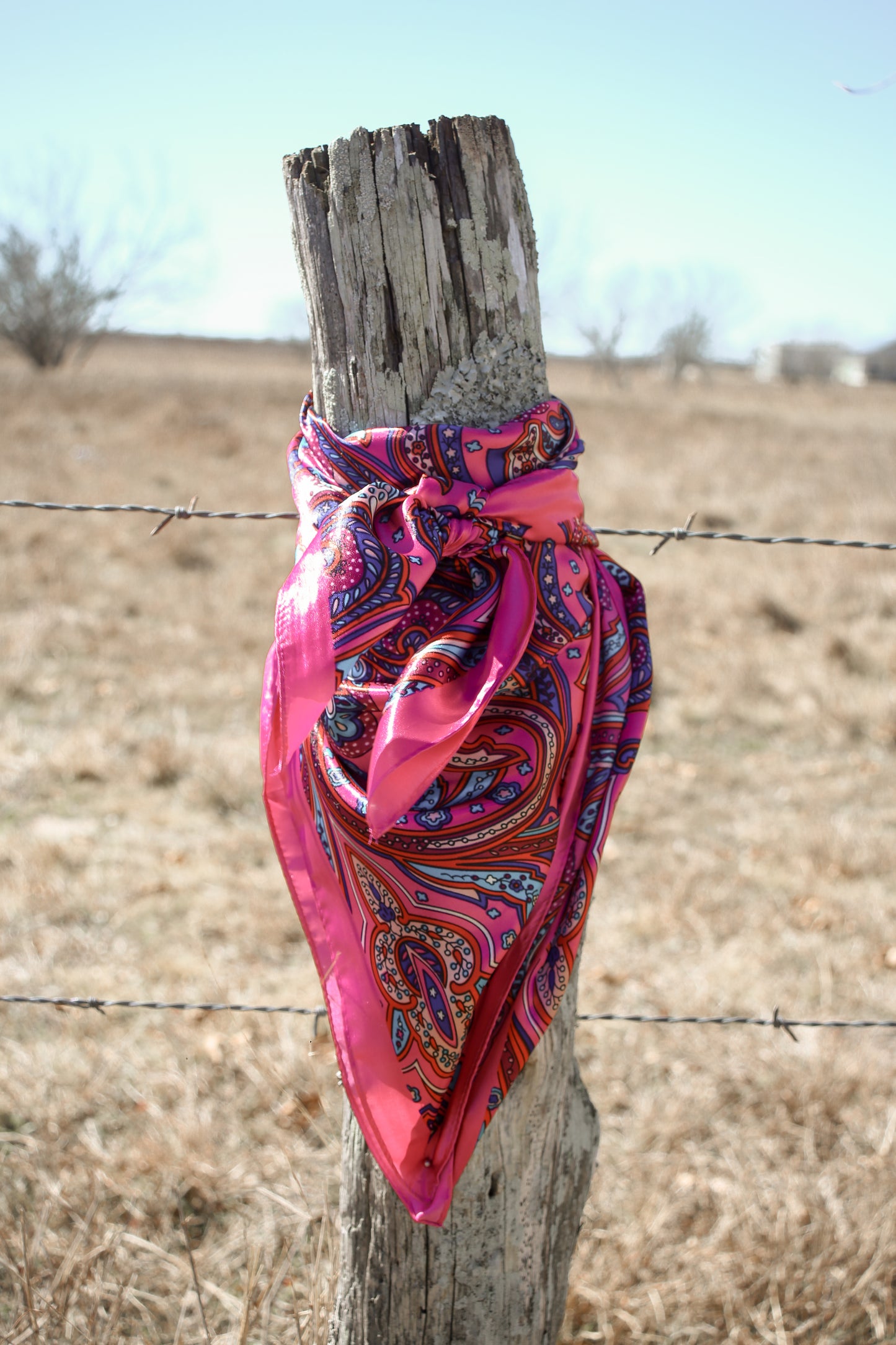 Ranchland Rosé Wildrag